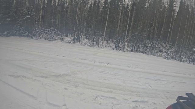 Охота с гончим на зайца смотреть онлайн