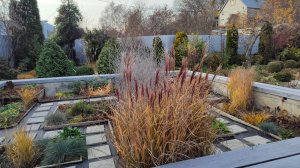 Южный сад 16-18.11.2025 г. Новые дорожки в фундаменте, посадка чеснока, ответ на вопрос про тую.