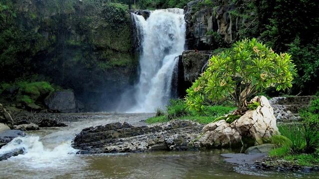 ВИДЕО ФОН № 28