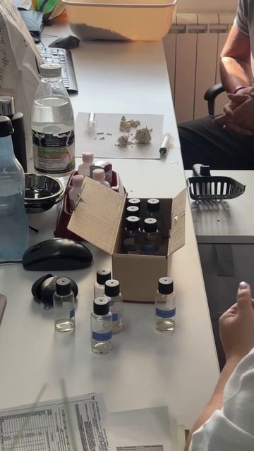 В офисе «Мокрого Носа» работает команда, которая создаёт новые продукты для питомцев.