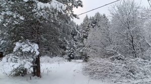 ЗИМНИЙ РЕЛАКС ПОД КРАСИВУЮ МУЗЫКУ