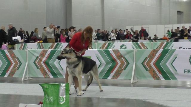 Гуннар смотреть онлайн