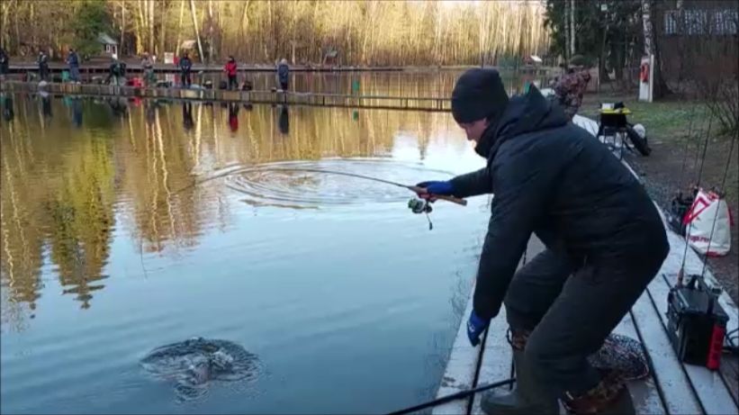 Отличный клёв форели на спорт-зоне. Клёвое место, Лосиный остров. смотреть онлайн