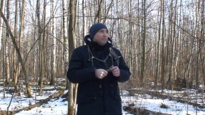 как манить селезня кряквы весной