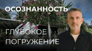 Глубокое погружение в "Сейчас": звуки джунглей, моря и тишины острова Самуи