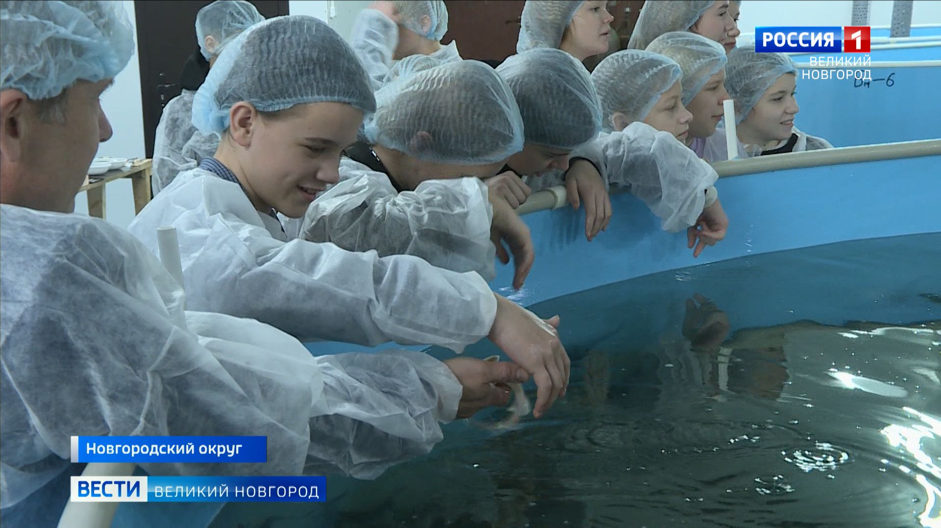 ГТРК СЛАВИЯ Новгородский округ рыборазводный завод в Броннице 19.11.25 смотреть онлайн