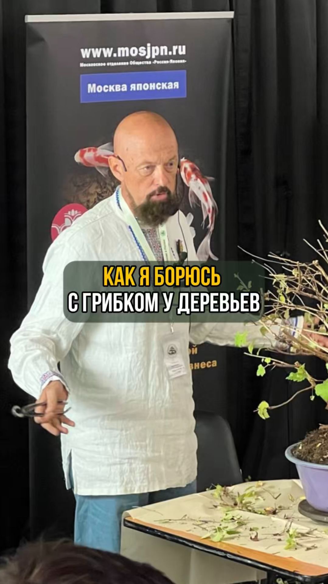 Как я борюсь с грибком у деревьев смотреть онлайн