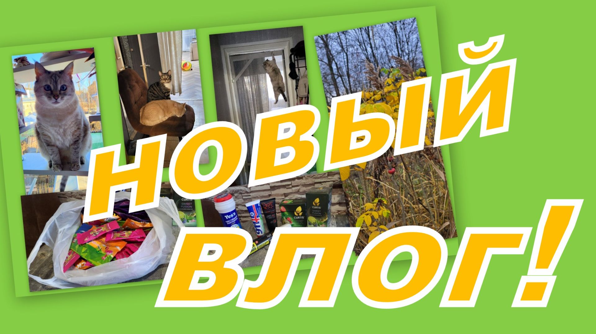 ВЛОГ: ПОКУПКИ, ВСТРЕЧА НА ВАЙЛДБЕРРИЗ И ПУШИСТЫЙ ИНТЕЛЕКТ... смотреть онлайн