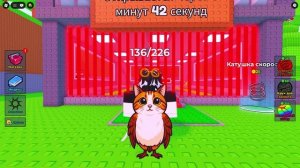 показываю где находится брейнроты в найдите брейнрот даже Meowl