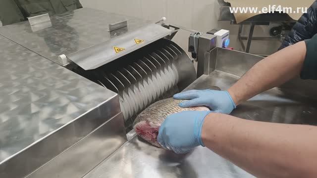 Устройство нарезки рыбы на стейки (для карпа и крупной рыбы) ИПКС-074-01-300ГФ(Н) смотреть онлайн