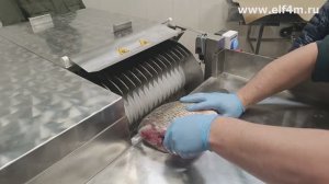 Устройство нарезки рыбы на стейки (для карпа и крупной рыбы) ИПКС-074-01-300ГФ(Н)