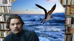 РЕВАЛВИТА "В Библиотеке" Виталий Ревякин