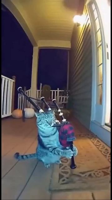 Бодрое утро смотреть онлайн