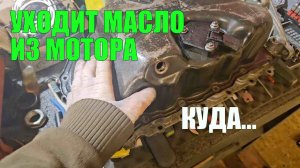 Двигатель тоже может потеть. Куда уходит масло из исправного мотора...