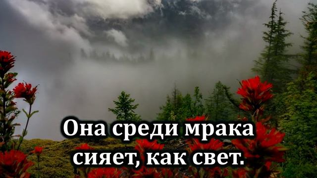10. Прославьте Царя смотреть онлайн