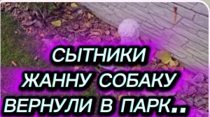 САМВЕЛ АДАМЯН, СЫТНИКИ, ЖАННУ СОБАКУ ВЕРНУЛИ В ПАРК..