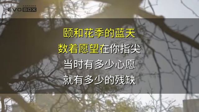 步步 (Mayday) — 五月天 (Step by Step) | караоке EVOBOX смотреть онлайн