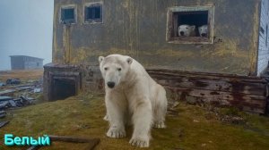 Ответы на Вопросы по Мистике от 19.11.25 Часть 4