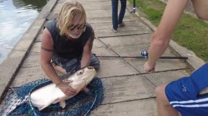 Паттайя 19.11.2025. Гигантские сомы! Интересный аттракцион рыбалка!