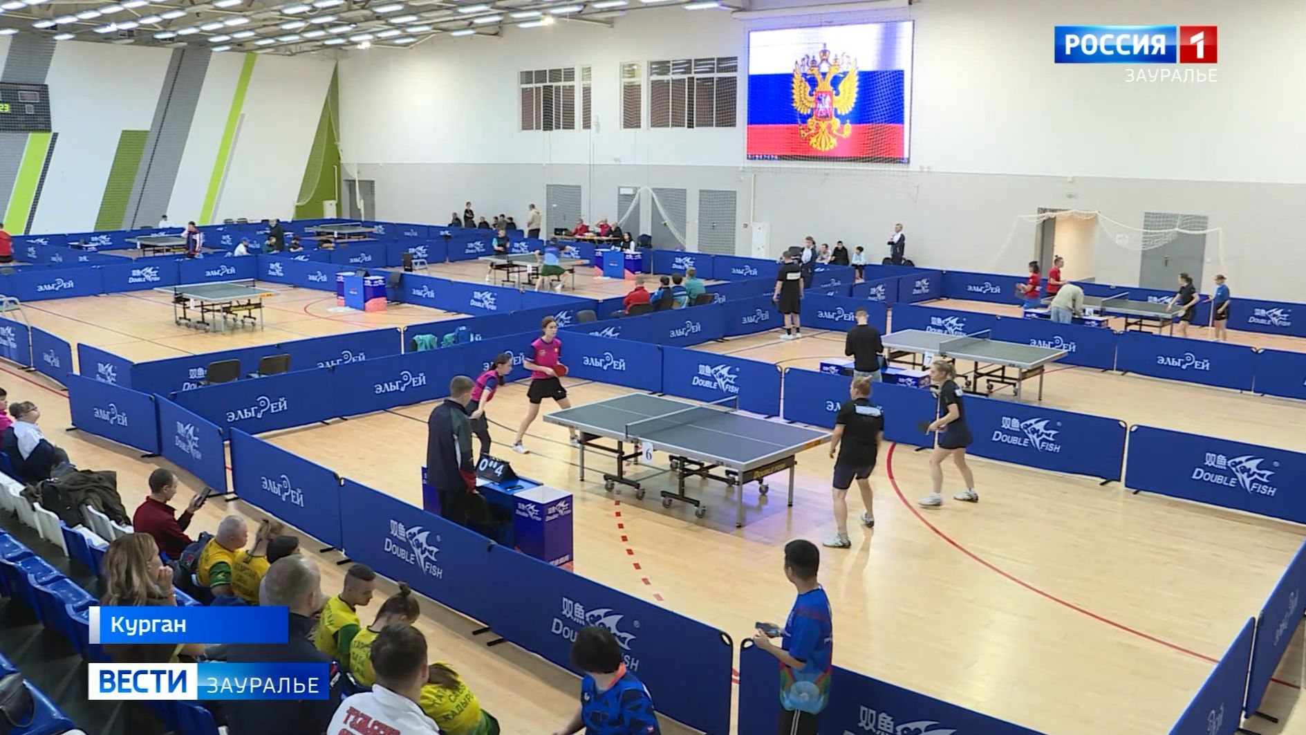 В Кургане прошёл Кубок России по спорту лиц с интеллектуальными нарушениями смотреть онлайн
