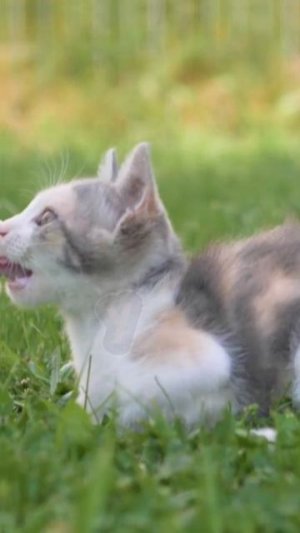 Я вернулся!🥲🥹