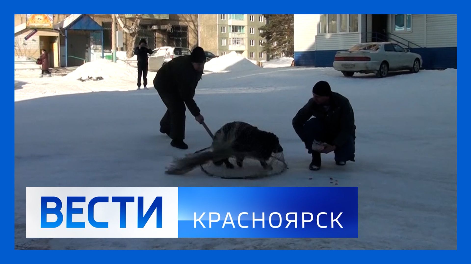 Вести. Красноярск от 12.11.2025 смотреть онлайн