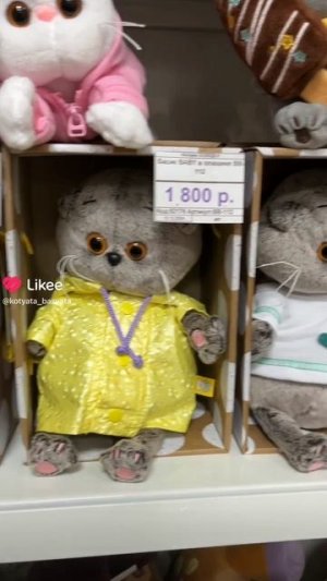 ‼️Много Басиков‼️ #басики #басик #волшебныебудни