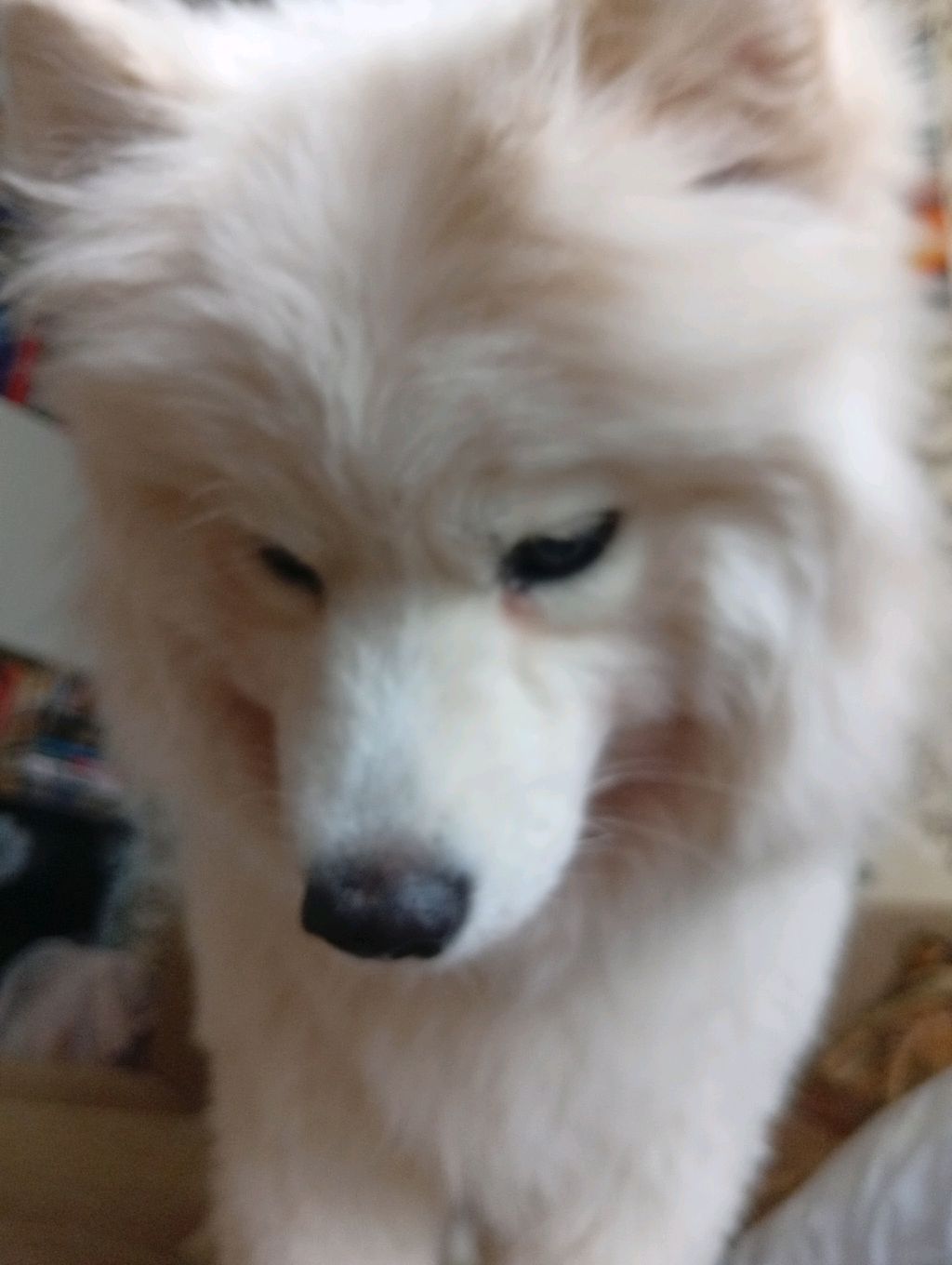 В ТУЛЕ?
ЧАСТЬ 2 смотреть онлайн