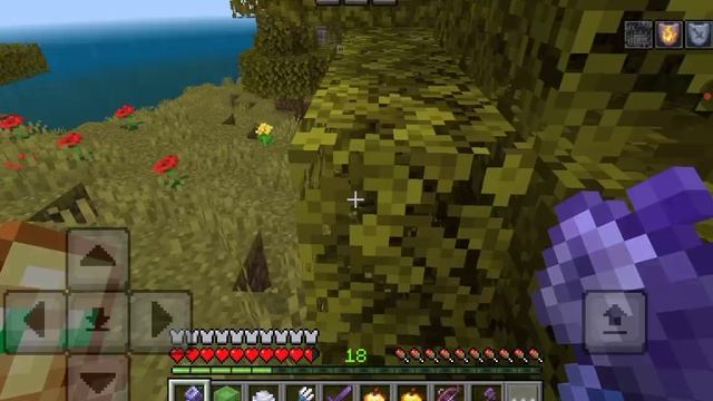 играем в Майнкрафт с VLOG BRO