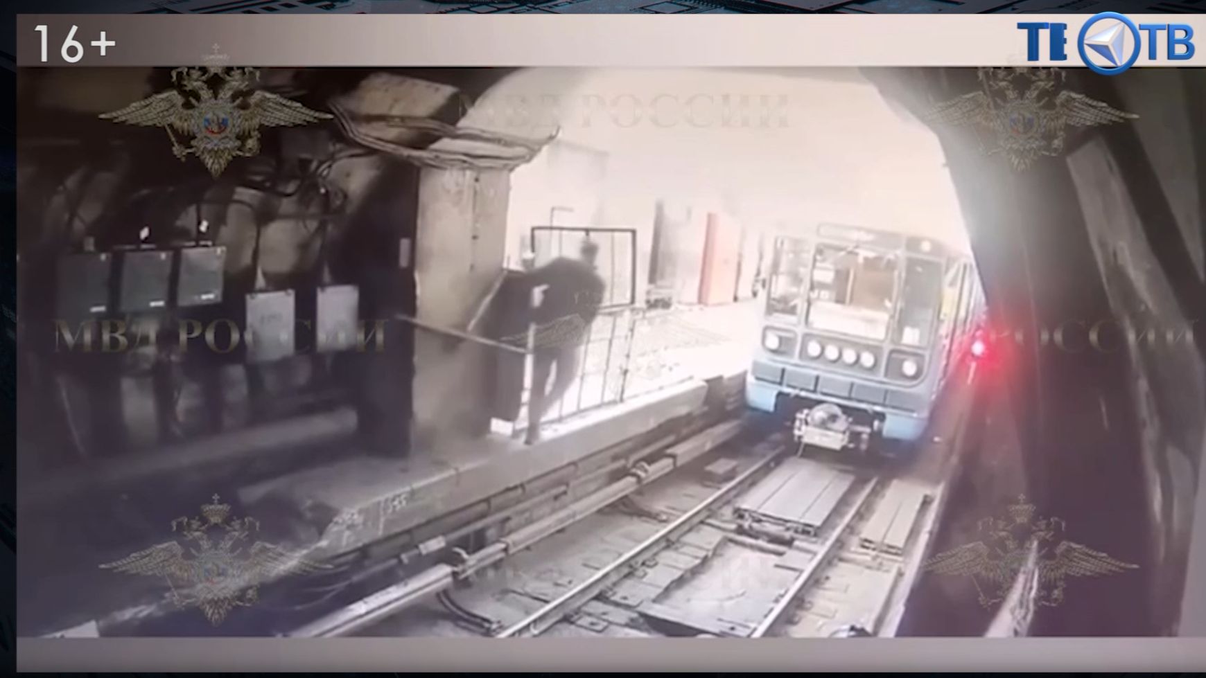 «Зайцы» под арестом смотреть онлайн