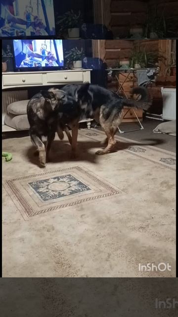 борьба титанов смотреть онлайн