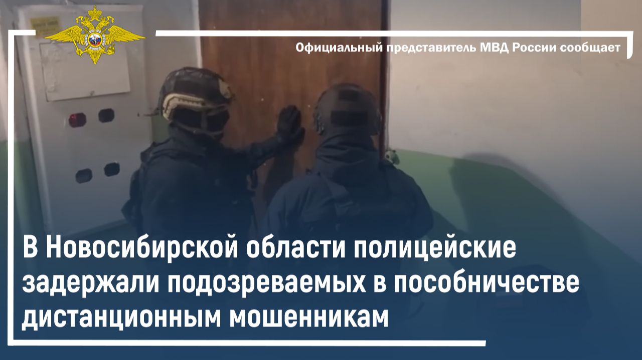 В Новосибирской области полицейские задержали подозреваемых в пособничестве дистанционным мошенникам смотреть онлайн