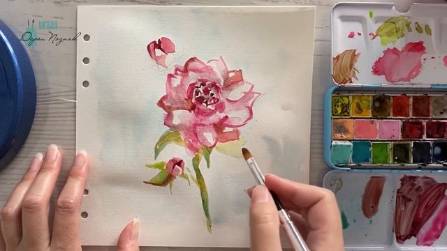 Рисуем пион акварелью. Акварель пионы. смотреть онлайн