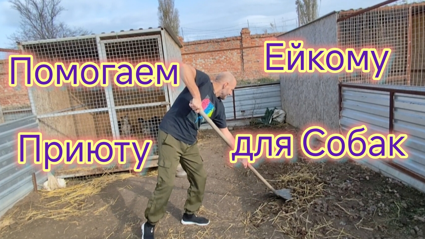 Помогаем Ейскому ПРИЮТУ для собак/Как я делаю тяжёлую РАБОТУ/В городе ведут РАСКОПКИ/Заберите СОБАКУ смотреть онлайн
