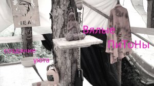 Вялые питоны 2025 создаём уют!!! (перезалив)