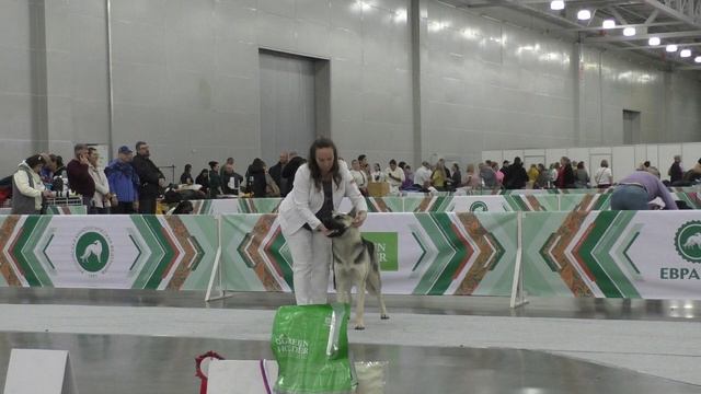 Джокер Шоу Долорес смотреть онлайн