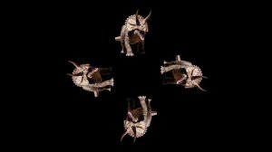 Трицератопс