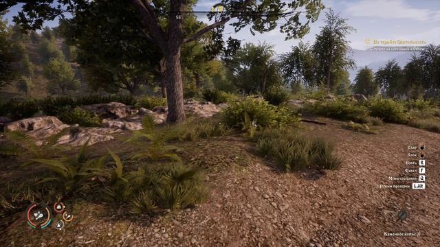 Medieval Dynasty #5 ТУПАЯ ВОРОНА смотреть онлайн