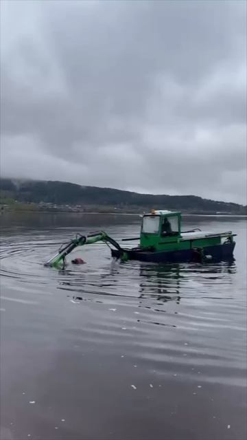 Миниземснаряд волгодонск