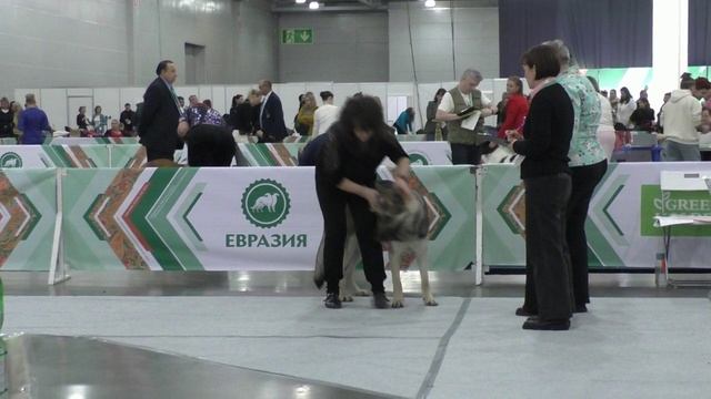 Тор 2 из Империи Древних Воинов смотреть онлайн