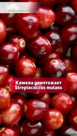 Если это делать, зубной налёт перестанет появляться