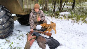 ОХОТА НА ГЛУХАРЯ С СОБАКОЙ / КАРЕЛКА НЕ ЧИСТОКРОВНАЯ / ОЧЕНЬ ДОЛГО ПРИШЛОСЬ ПОДХОДИТЬ К СТАРОЙ ПТИЦЕ