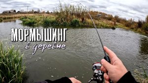 Мормышинг в деревне 2025. Ельцы, плотва, окуни...