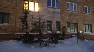 2025.11.17. Норильск. Ул. Московская. Самые высокие ели. Итоги декады в описании.