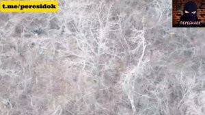 Засада на ВСУ в Северске