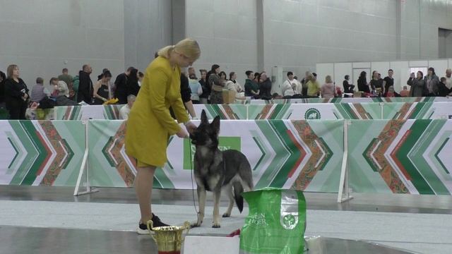 Леонель Андрес Месси смотреть онлайн