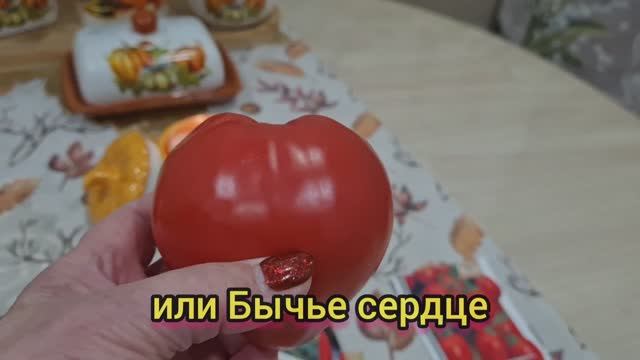 Завтрак. Дача 19.11.25г.🏡 Зима пришла!❄️☃️ Обзор семян томатов на 2026г.🍅 смотреть онлайн