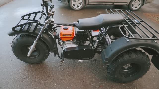 Трицикл СПРИНТ ТРАЙК (Ижтехмаш) на колесах 10" (резина 23х7-10"). смотреть онлайн