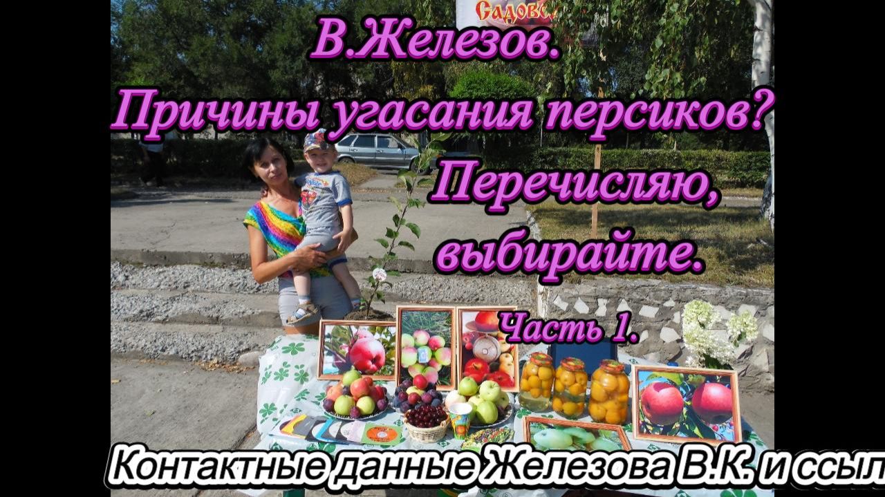 В.Железов. Причины угасания персиков? Перечисляю, выбирайте. Часть 1. смотреть онлайн