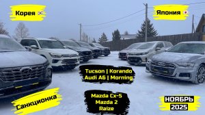 СВЕЖИЙ ПРИВОЗ АВТОМОБИЛЕЙ. НОЯБРЬ 2025. ЧАСТЬ 2